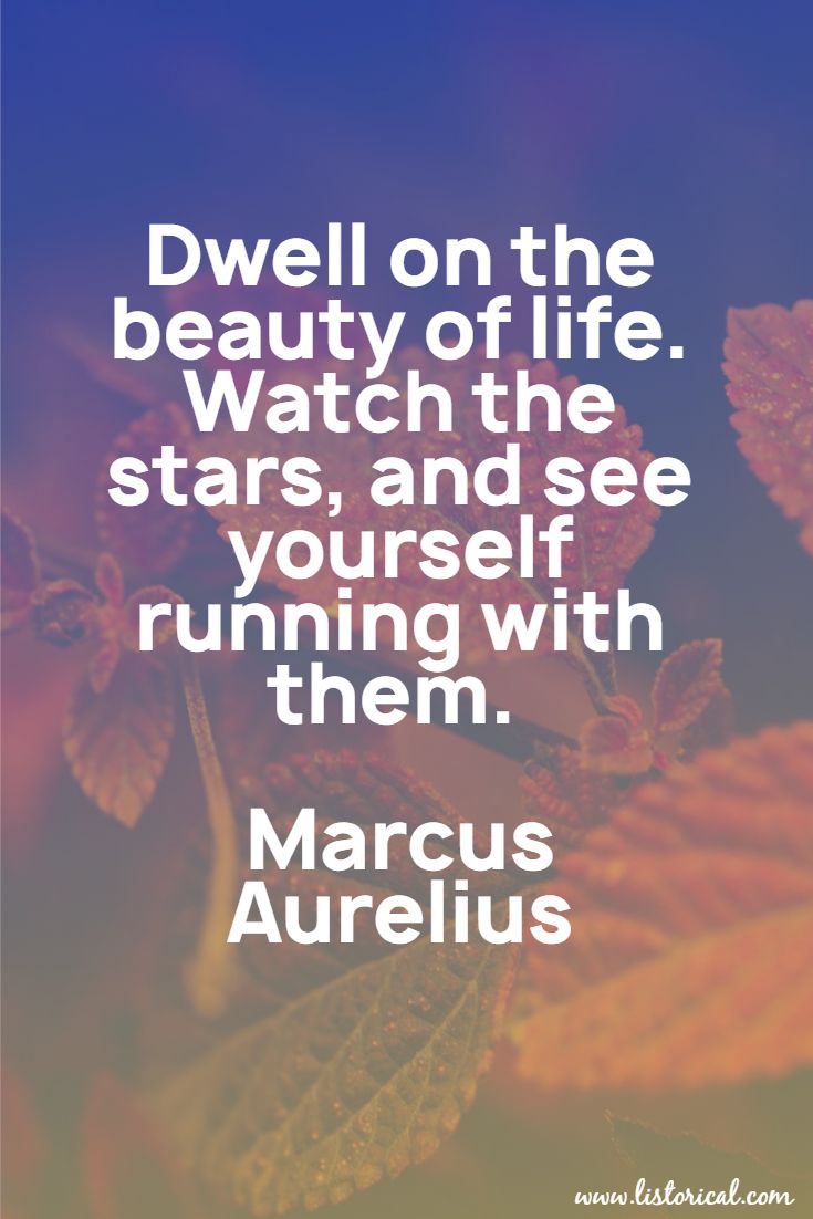 Dwell on the beauty of life. Watch the stars, and see yourself running with them. Marcus Aurelius